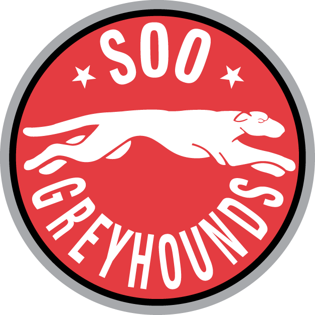 Sault Ste. Marie Greyhounds 1999 00-2008 09 Primary Logo vinyl decal